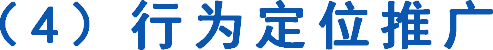 （4）行为定位推广