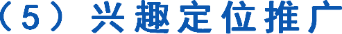 （5）兴趣定位推广