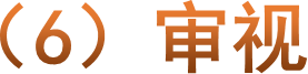 （6）审视