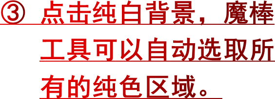 ③ 点击纯白背景，魔棒   工具可以自动选取所   有的纯色区域。