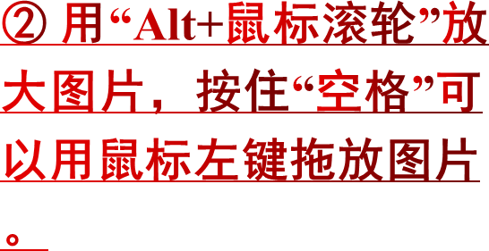 ② 用“Alt+鼠标滚轮”放大图片，按住“空格”可以用鼠标左键拖放图片。