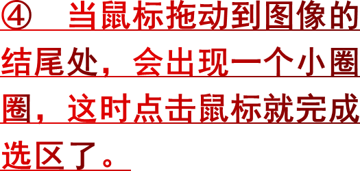 ④ 当鼠标拖动到图像的结尾处，会出现一个小圈圈，这时点击鼠标就完成选区了。