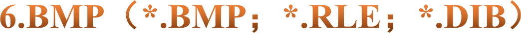 6.BMP（*.BMP；*.RLE；*.DIB）