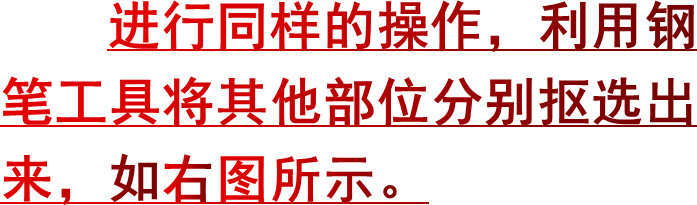 进行同样的操作，利用钢笔工具将其他部位分别抠选出来，如右图所示。