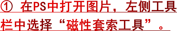 ① 在PS中打开图片，左侧工具栏中选择“磁性套索工具”。