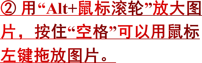 ② 用“Alt+鼠标滚轮”放大图片，按住“空格”可以用鼠标左键拖放图片。