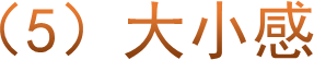 （5）大小感