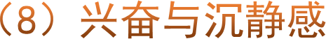 （8）兴奋与沉静感