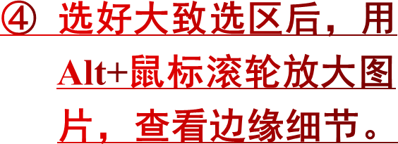 ④ 选好大致选区后，用   Alt+鼠标滚轮放大图   片，查看边缘细节。