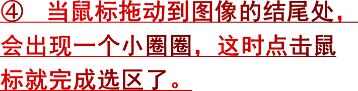 ④ 当鼠标拖动到图像的结尾处，会出现一个小圈圈，这时点击鼠标就完成选区了。