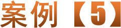 案例【5】