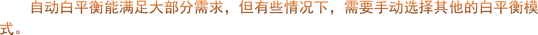 自动白平衡能满足大部分需求，但有些情况下，需要手动选择其他的白平衡模式。