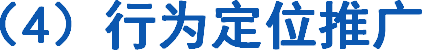 （4）行为定位推广