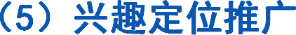 （5）兴趣定位推广